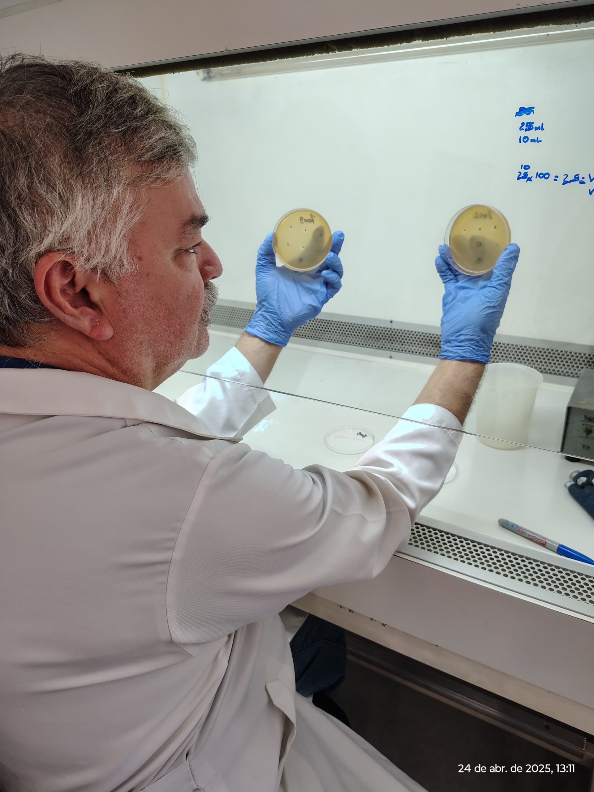 Leia mais sobre o artigo [en] Pesquisa desenvolvida no CEPID B3 é destaque na série Ciência SP, da Agência FAPESP