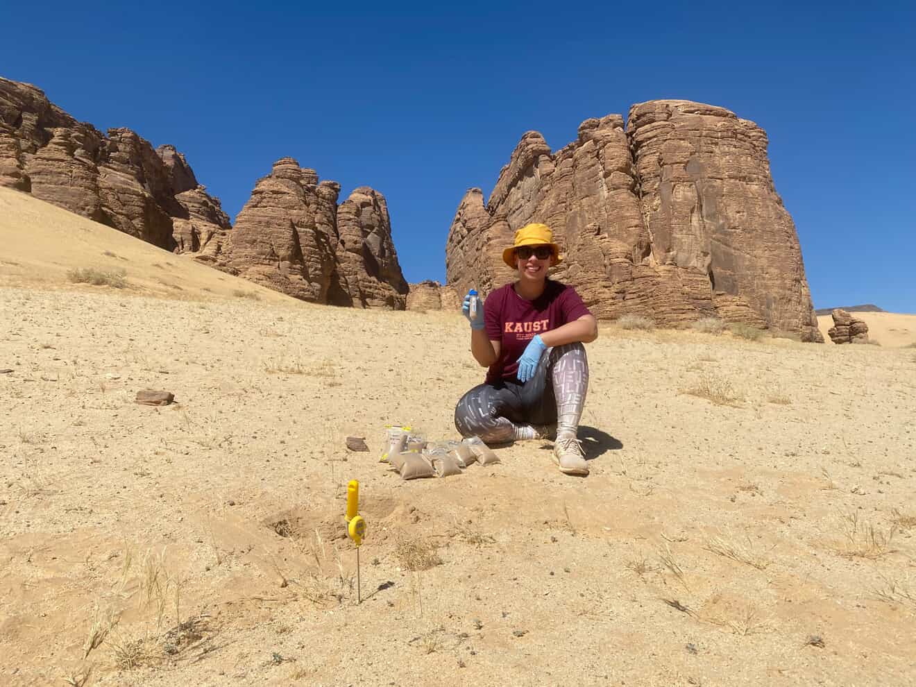 Leia mais sobre o artigo Extremófilos: a vida nos lugares mais inabitáveis do planeta (e fora dele)