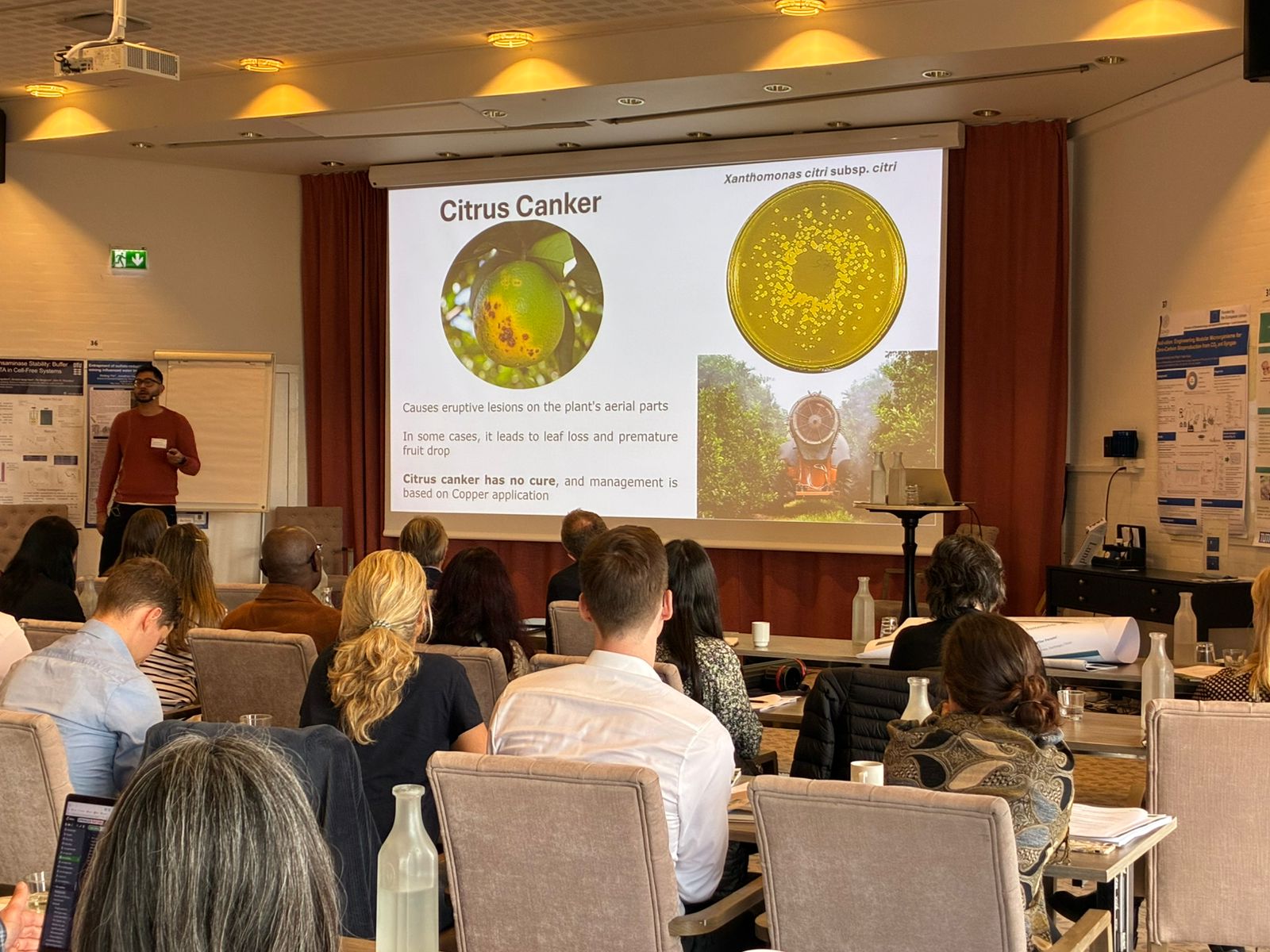 Leia mais sobre o artigo CEPID B3 researcher awarded R$12,000 grant to attend bioeconomy conference in Denmark